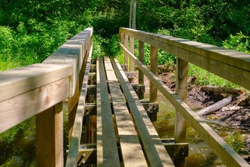 Fototapeta premium A wooden boardwalk with railings in a wet swampy area. Equipped tourist trail with wooden paths and footbridges. healthy lifestyle