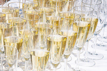 champagne glasses on white background
