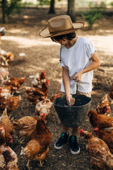 Young Caucasian boy feeding chickens with rains.