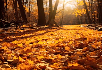 Obraz premium Autumn forest road leaves fall in ground landscape on autumnal background created with Generative AI technology