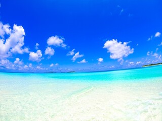 Fototapeta na wymiar sandbank of the maldives, maldives beach 