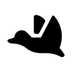 Fototapeta premium Duck