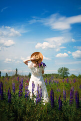 fairy tale girl in lupins
