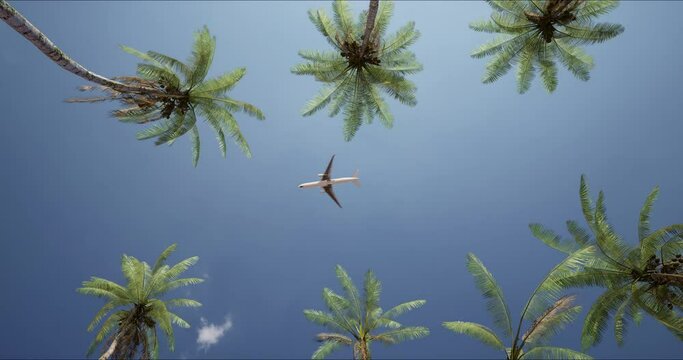 Long-haul passenger plane flying over a resort with palm trees on a sunny day. Bottom view. The concept of an exotic vacation.