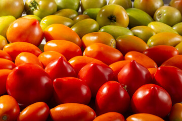 Multi-colored tomatoes. Heap of red, yellow, orange and green tomato fruits.
