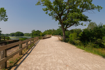 Trail at Channahon State Park.