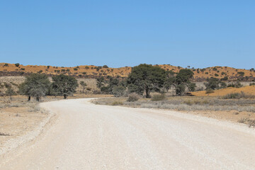 Dirt road in the Kalahari (Kgalagadi)