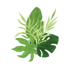 Fototapeta na wymiar Green tropical leaves.