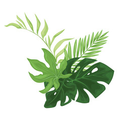 Fototapeta na wymiar Green tropical leaves.