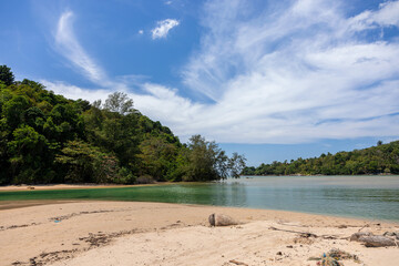 beach with trees