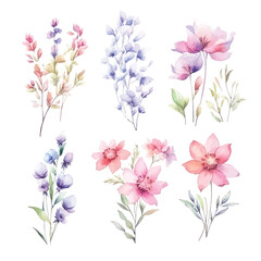 Obraz na płótnie Canvas Romantic Watercolor Fairy Florals: Soft Hues on Transparent Background for Dreamy Creations