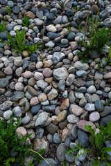 A big pile of stones in the nature near the river. Grass grows from the cracks in the rocks.