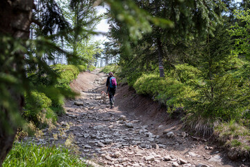 Woman walking on a mountain trail through the forest