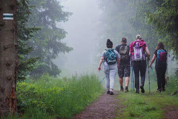 .A group of people walking on a mountain trail through the forest in the fog