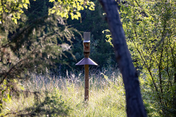 bird house stand in the forest