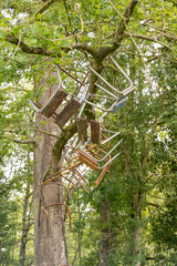 chaises suspendues à un arbre
