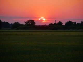 Fototapeta na wymiar Sunset over the field in Sweden