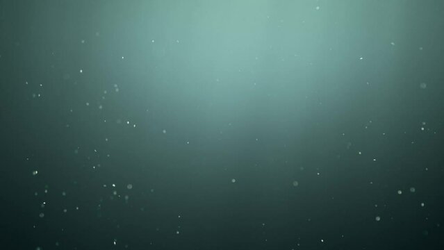 Particles and plangton floating underwater. Abstract background 4k
