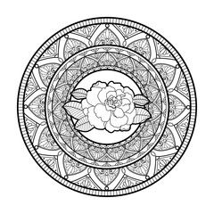 Vector illustration of a mandala with camelia flower for coloring adult book antistress, mandala vettoriale con camelia da colorare per libro adulti antistress - obrazy, fototapety, plakaty