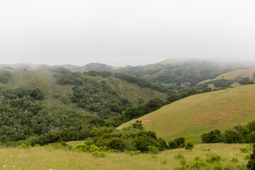 Obraz premium Rolling hills in San Luis Obispo county with low lying coastal clouds