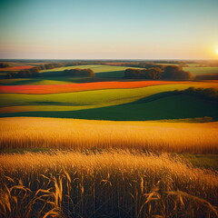 Obraz premium Agricultural Field