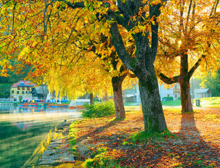 Autumn colours at Bled Lake, Slovenja, Europe