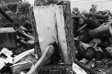 Axe is in the cracked log. Harvesting firewood in the village with hatchet. Logs and timber on the ground in the countryside. House of farmer and woodcutter. Black and white.