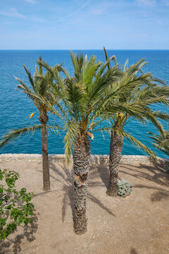 View of the Mediterranean Sea from the garden in the medieval castle of Peniscula.