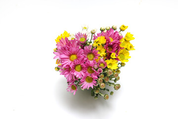 白バックの菊の花束