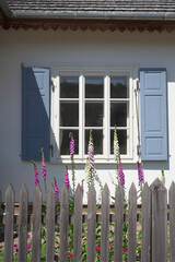 house with beautiful flowers under window 