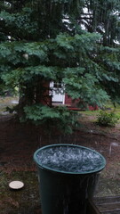 Fototapeta premium Rain water collecting in the the garden