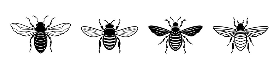 Set beetles insect black silhouette animal. Vector Illustrator.