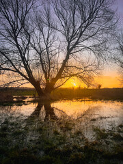 Sonneuntergang auf den Wiesen bei Wei&szlig;enhaus in Ostholstein
