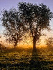 Sonneuntergang auf den Wiesen bei Wei&szlig;enhaus in Ostholstein