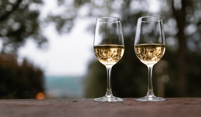Wine glasses and a nature view