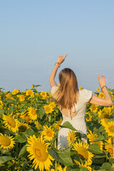 Summer day and happy young woman in the sunflower field with arms raised up. Young beautiful girl in a field of sunflowers.