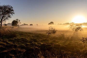Fototapeta na wymiar Sunrise and Fog 