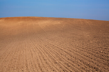 Rural landscape. Row plowed field with cereals sown or prepared field for planting against blue sky. Agricultural land.