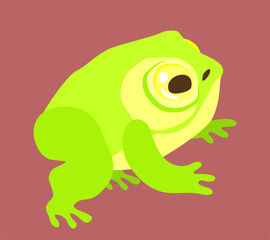 Vector isolated illustration of frog.