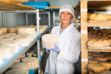 Skilled cheesemaker checking aging process of hard goat cheese in special maturing chamber at...