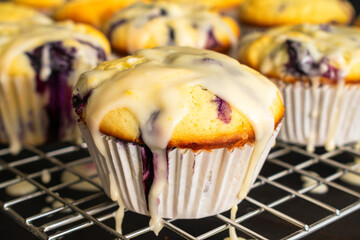 Close-up Side View of Blueberry Muffins With Lemon Glaze on a Cooling Rack: Freshly baked blueberry muffins on a wire rack viewed from the side