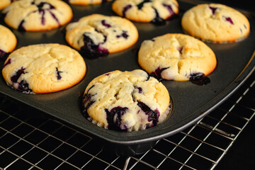 Close-up View of Blueberry Muffins in a Muffin Pan: Freshly baked blueberry muffins in a muffin tin on a wire cooling rack