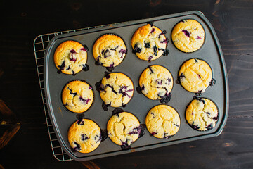 Overhead View of Blueberry Muffins in a Muffin Pan: Freshly baked blueberry muffins in a muffin tin on a wire cooling rack