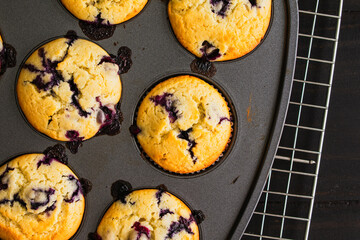 Close-up Overhead View of Blueberry Muffins in a Muffin Pan on a Cooling Rack: Freshly baked blueberry muffins in a muffin viewed from directly above