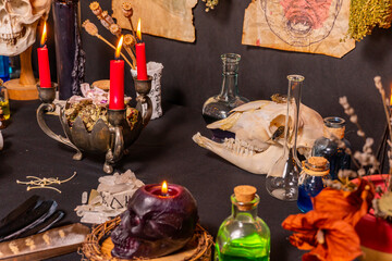 Occult and esoteric witchcraft still life. Halloween background with magic objects. Black candles, skull, crystal stones, and potions vials for witch. Mystic witchery background with dry weeds.