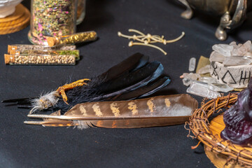Bird’s parts feather and raven toes on witch’s altar for performing a black magic ritual....