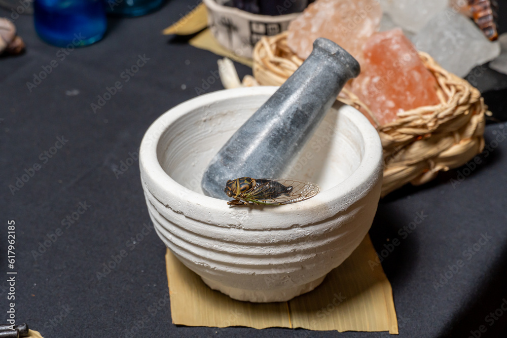 Wall mural mortar and pestle witchcraft alchemy still life selective focus, witch craft pharmacy and medicine. 