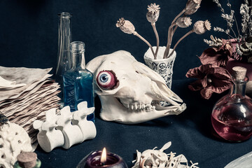 Witchcraft magic ritual goat skull surrounded with spell items and tools. Witch craft magic skull,...