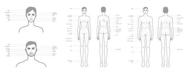 Diagram of woman and man head and body with names, parts of the face text labeled fashion Illustration Infographic description. Flat female, male character girl boy scheme. Human infographic template 