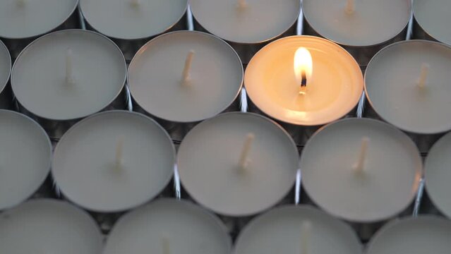 Candle. Tea Lights Candle. Mini Tealight candles for home decoration. Dripless and long lasting paraffin or white beeswax. Good for essential oil diffuser or aroma lamps. Isolated white background